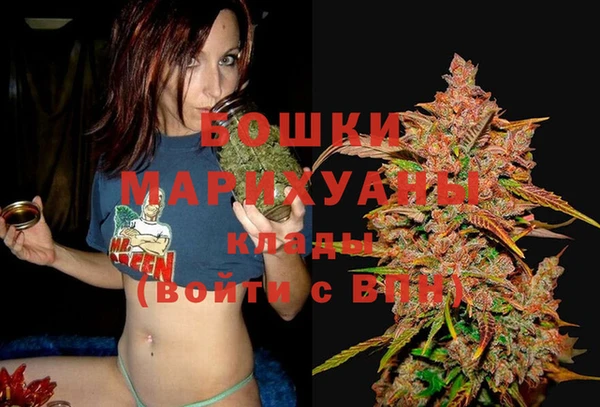 шишки Бородино