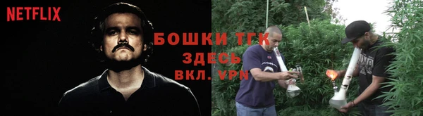 спиды Богородск