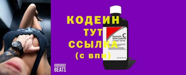 шишки Бородино