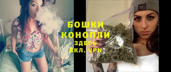 спиды Богородск